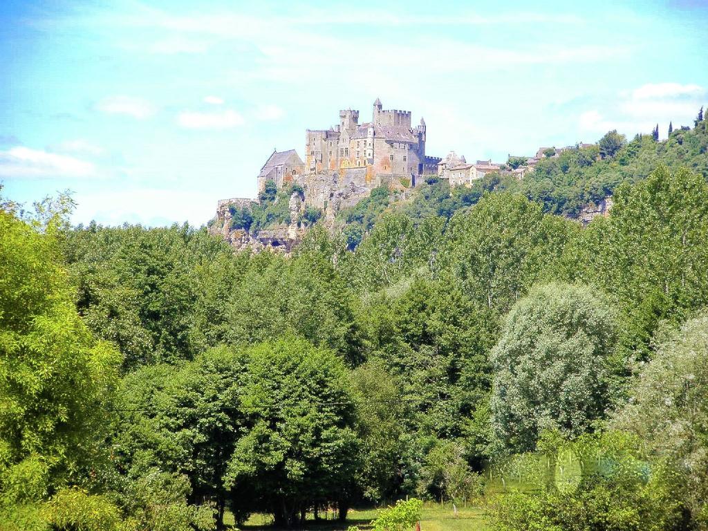 Charming Gite With Pool In Vezac Beynac-et-Cazenac Exterior foto